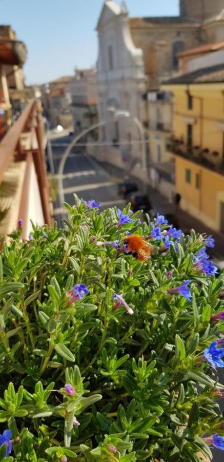 Il Nido B&B San Vito Chietino Eksteriør billede